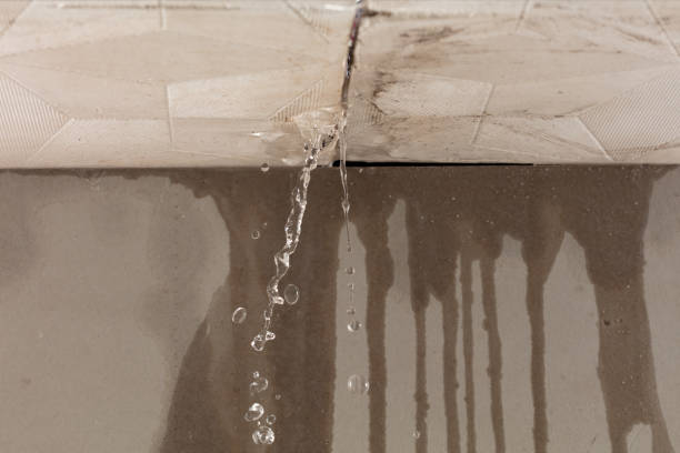 Professional Sewage Cleanup technician working in Lacey, WA